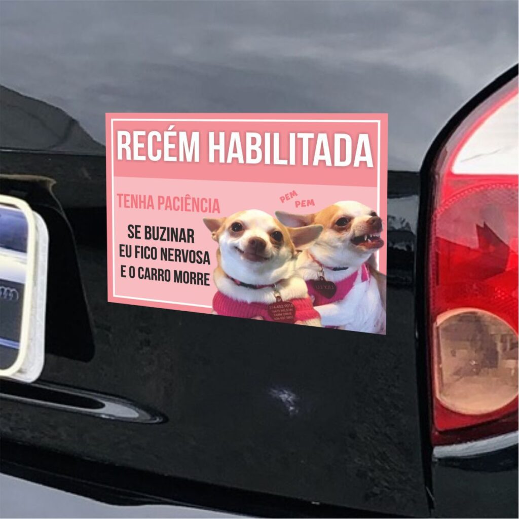 Adesivo para Carro Sinalização Recém Habilitado Divertido